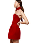 Tiffany Floral Choker Detail Red Mini Evening Dress