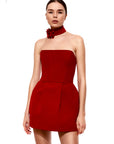 Tiffany Floral Choker Detail Red Mini Evening Dress