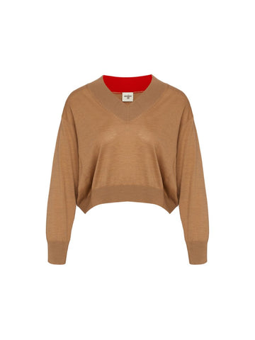 Brown Brianna Self Colored V-necked Sweater | Porterist
