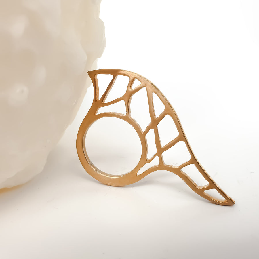 Web Ring | Porterist