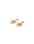 Golden Pole Star Earrings