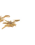 Golden Pole Star Earrings