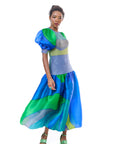 Balloon Sleeve Dress
