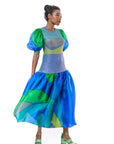 Balloon Sleeve Dress