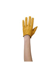 Yellow Azure Leather Gloves