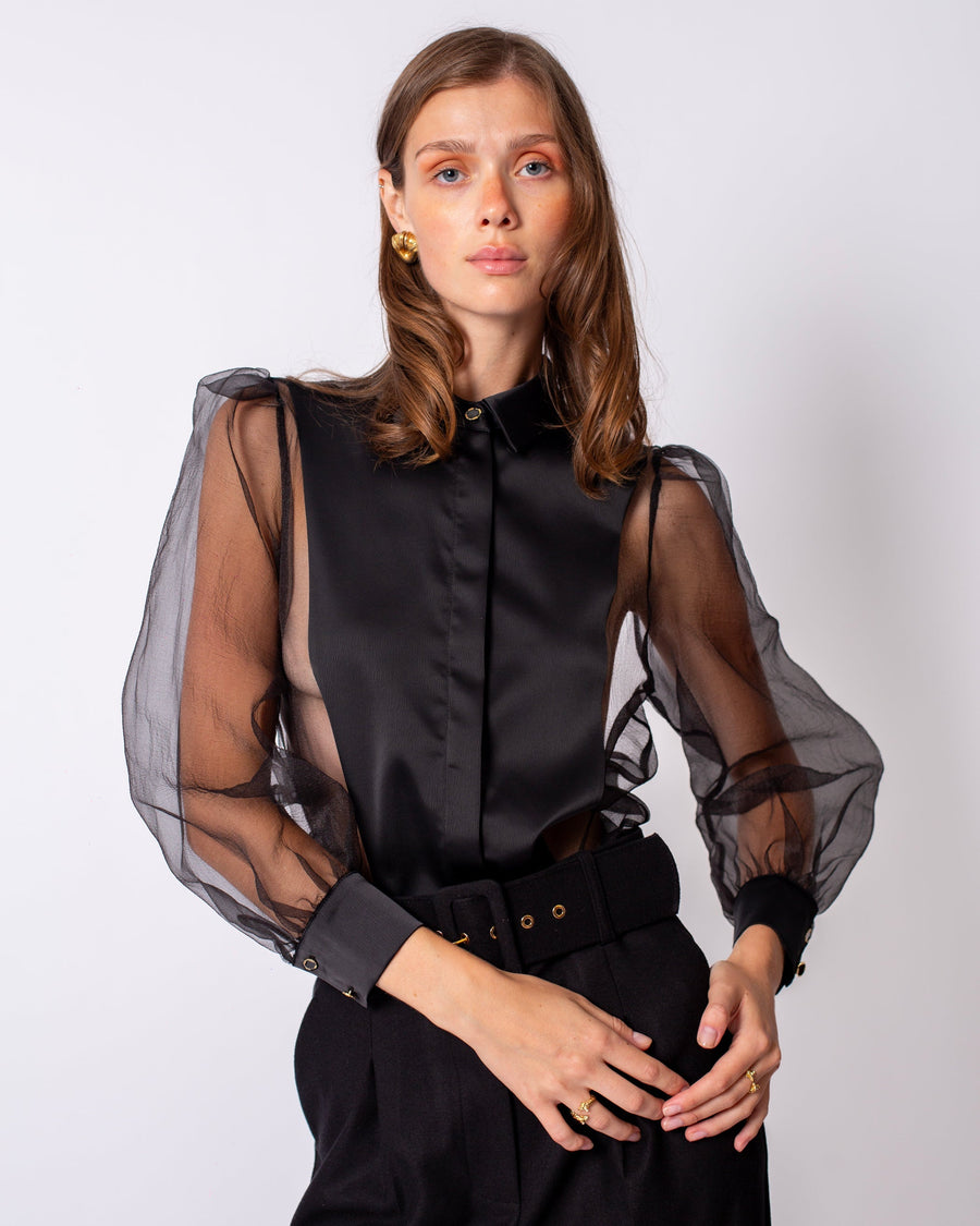 Shirt Collar Sleeves Organza Lined Blouse Black