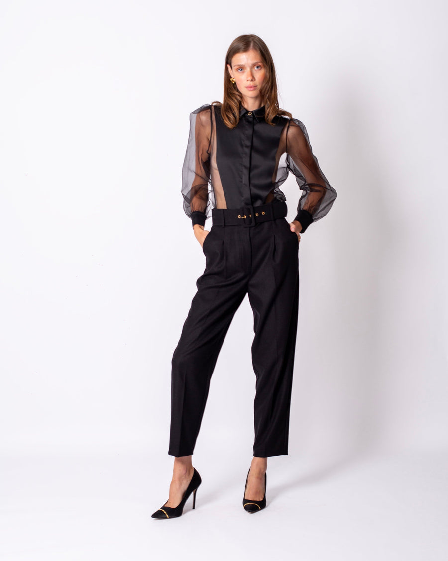 Shirt Collar Sleeves Organza Lined Blouse Black