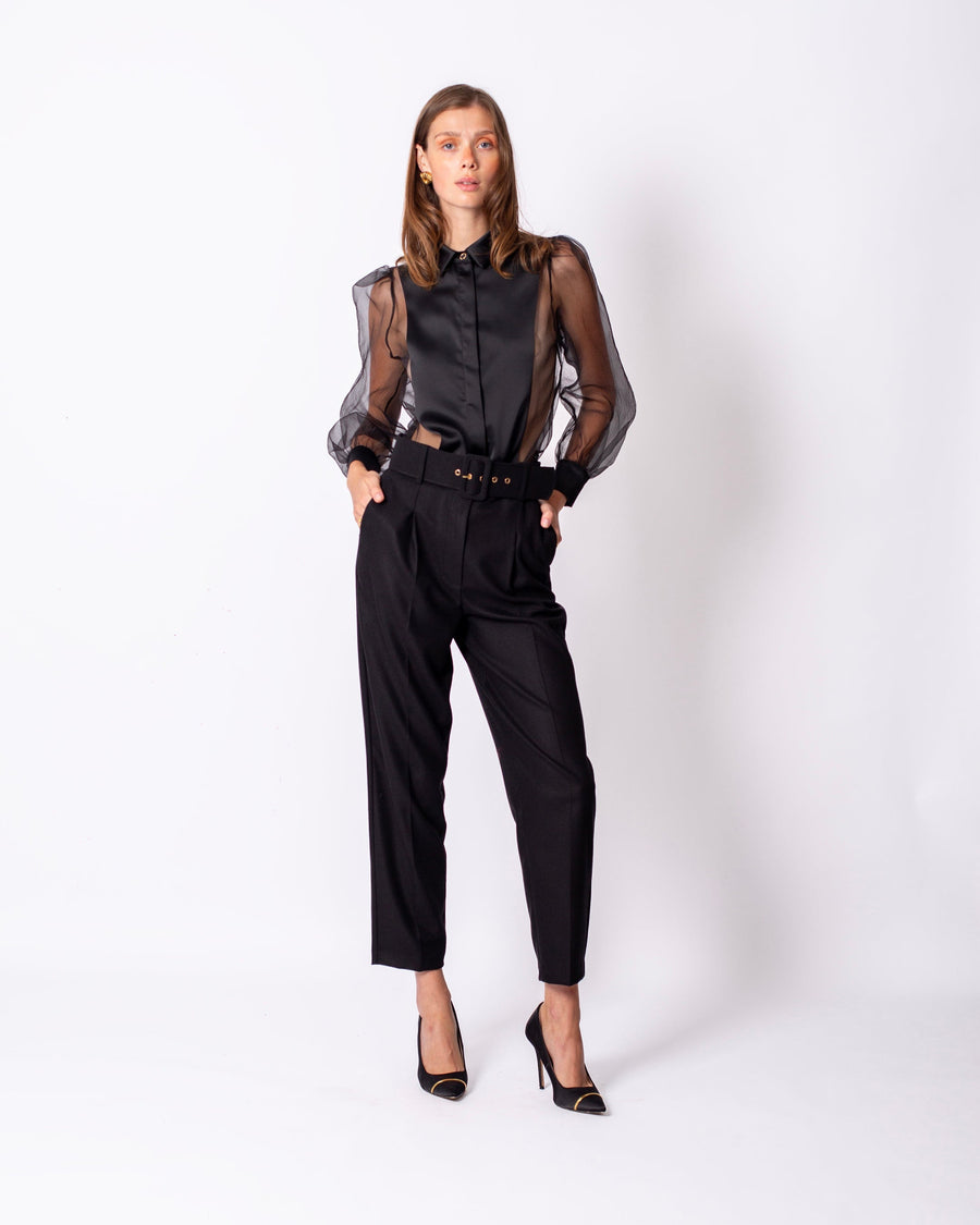 Shirt Collar Sleeves Organza Lined Blouse Black