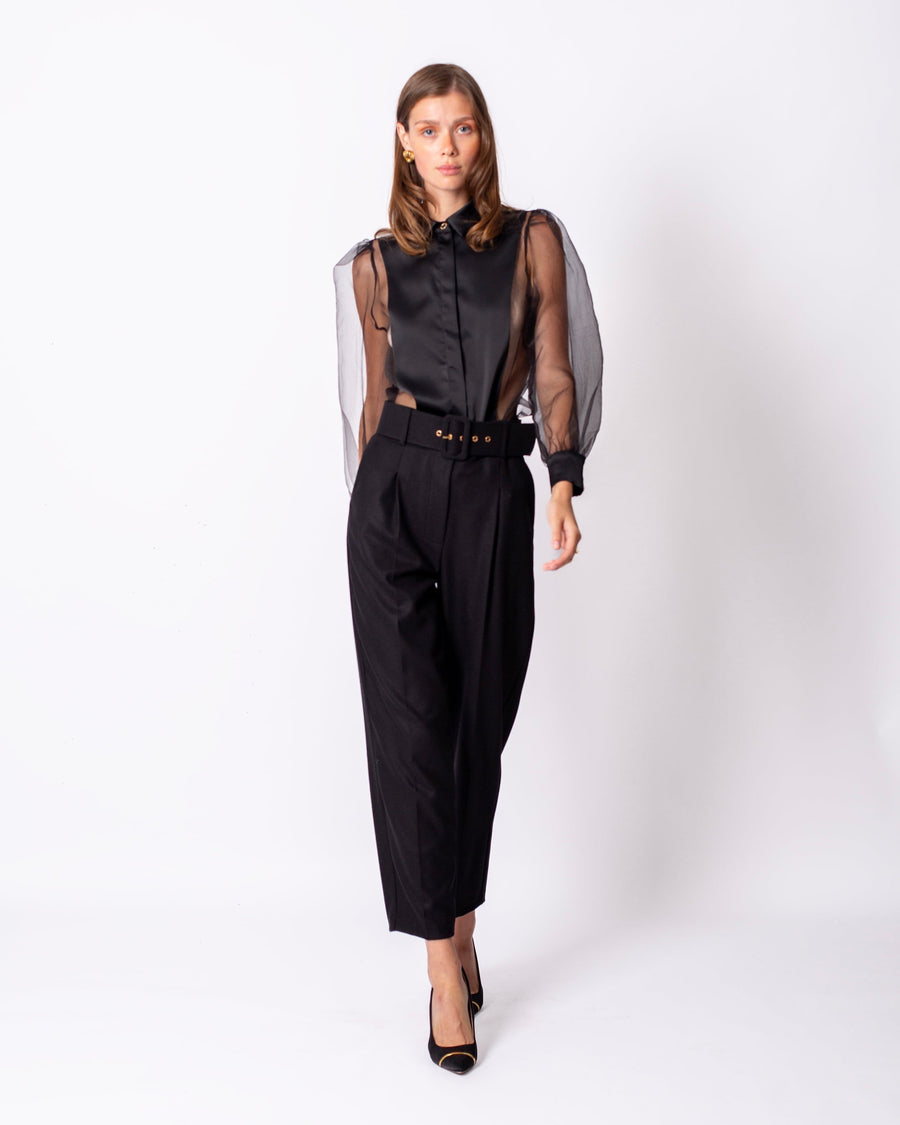 Shirt Collar Sleeves Organza Lined Blouse Black