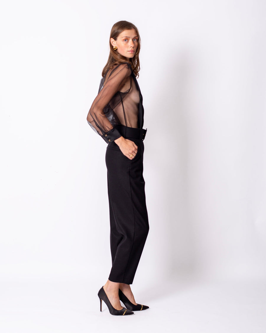 Shirt Collar Sleeves Organza Lined Blouse Black
