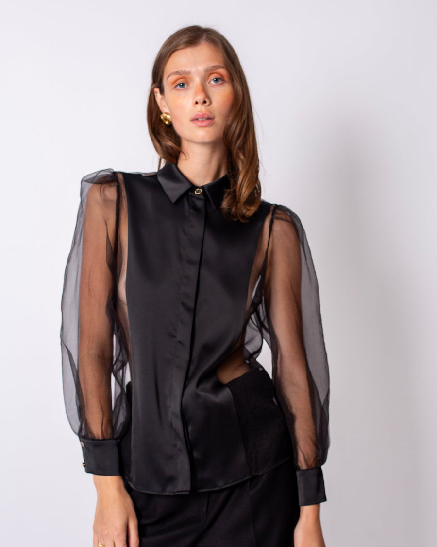 Shirt Collar Sleeves Organza Lined Blouse Black