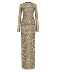 Leopard Print Long Sleeve Dress