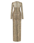 Leopard Print Long Sleeve Dress