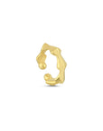 Nimble Gold Vermeil Ear & Lip Cuff   - Porterist 1