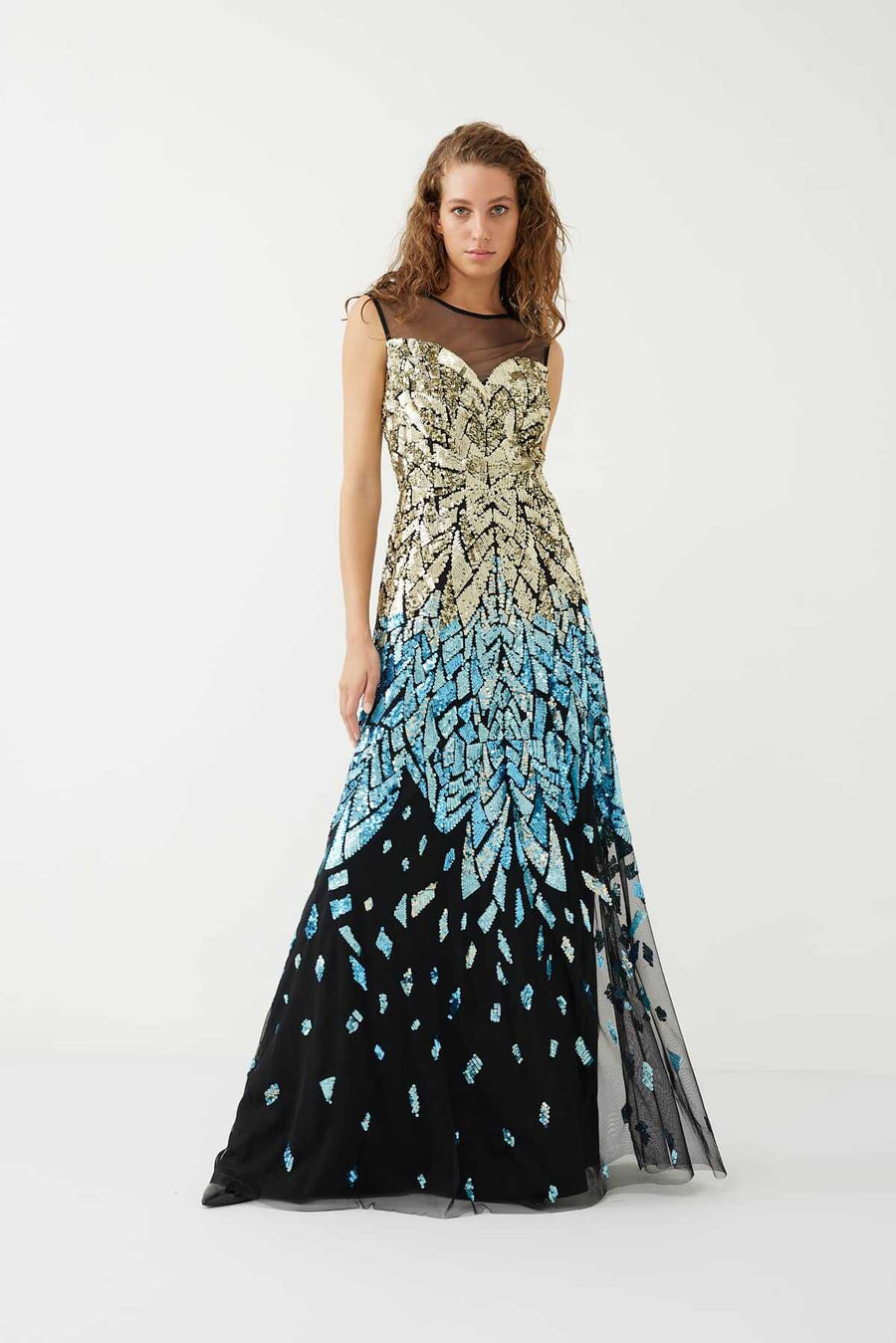 Tulle Long Length Evening Dress Standard Color  - Porterist 1