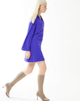 Purple Long Sleeve V - neck Mini Dress | Porterist