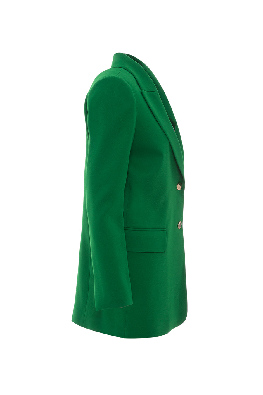 Gold Button Detailed Long Sleeve Green Jacket | Porterist