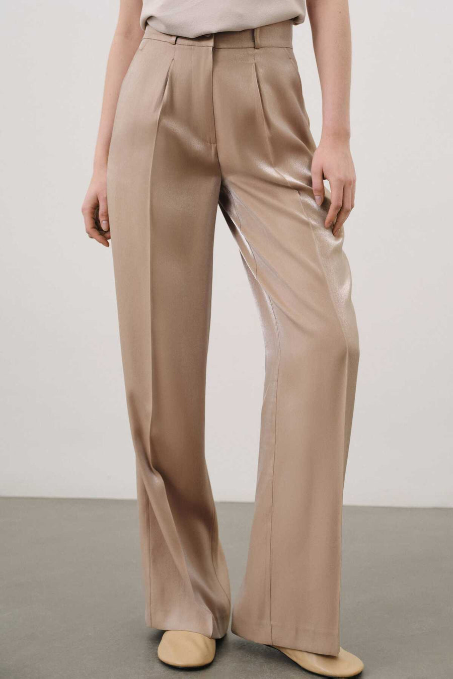 Glitter Beige Pants | Porterist